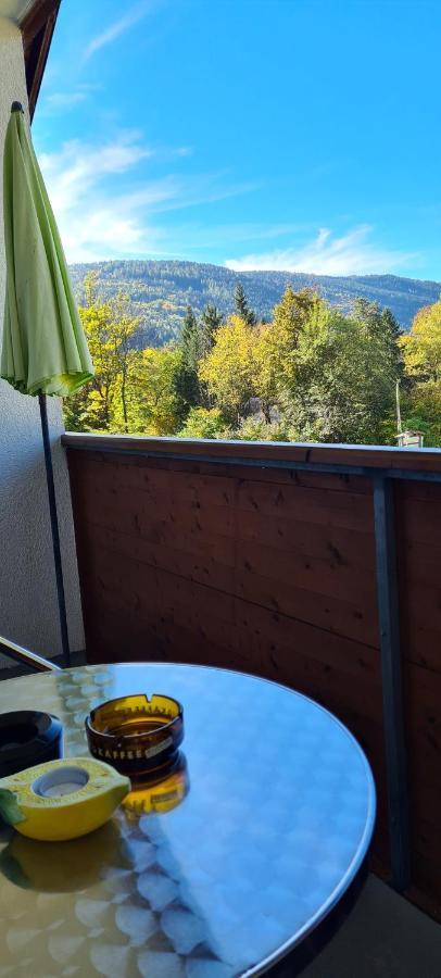 Ferienwohnung Edeltraud, Fusslaeufig Zum See Und 20 Minuten Vom Skigebiet Entfernt Dobriach Bagian luar foto